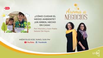 Aroma a Negocios - ¿Cómo cuidar un árbol?