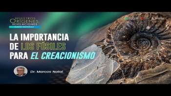 NOR 5 - La importancia de los fósiles para el Creacionismo