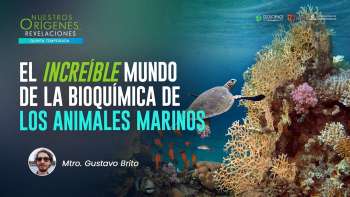 NOR 5 - El increíble mundo de la bioquímica de los animales marinos