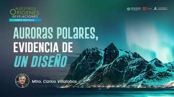 NOR 5 - Auroras Polares, evidencia de un diseño