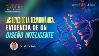 NOR 5 - Las leyes de la termodinámica: evidencia de un diseño inteligente