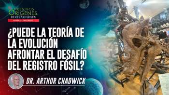 Nuestros Orígenes... Revelaciones y Sociedad de Jóvenes | 15 febrero 2025 | UMtv en Vivo