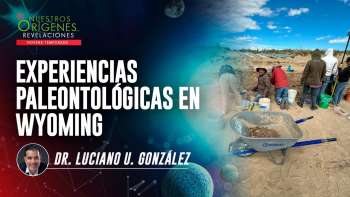 Nuestros Orígenes... Revelaciones | NOR 9 - 8 de FEBRERO | UMtv en vivo