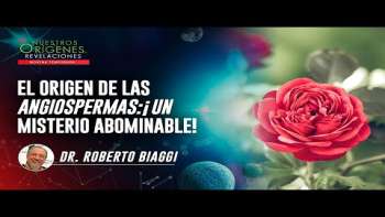 Nuestros Orígenes... Revelaciones | NOR 9 - 25 de ENERO | UMtv en vivo