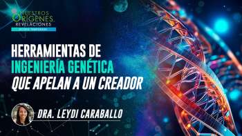 NOR 8 | Ep. 09 | Nuestros Orígenes... Revelaciones | 12 de OCTUBRE | UMtv en vivo