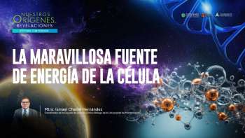 NOR 7 - 15 - La maravillosa fuente de energía de la célula