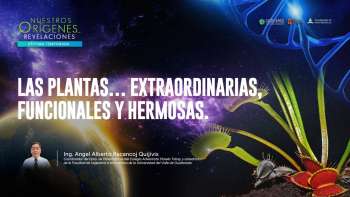 NOR 7 - 13 - Las plantas… extraordinarias, funcionales y hermosas.