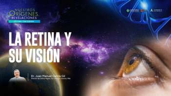 NOR 7 - 10 - La retina y su visión