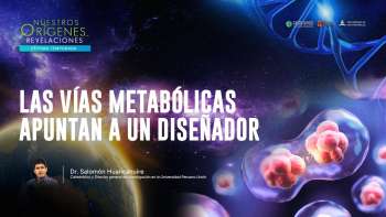 NOR 7 - 08 - Las vías metabólicas apuntan a un Diseñador