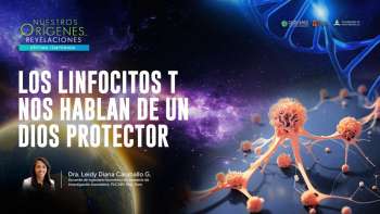 NOR 7 - 07 - Los linfocitos T nos hablan de un Dios protector