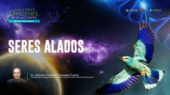 NOR 7 - 01 - Seres alados