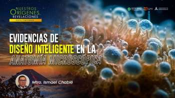 NOR 6 - Evidencias de Diseño Inteligente en la anatomía microscópica