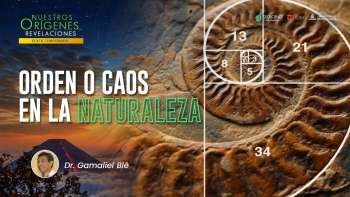 NOR 6 - Orden o caos en la naturaleza