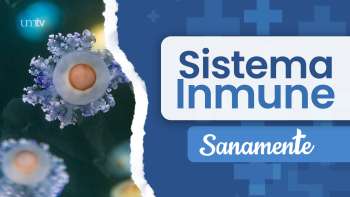 07 Sistema inmune | Sanamente
