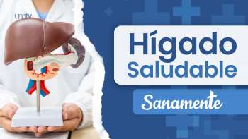 18 Hígado saludable | Sanamente